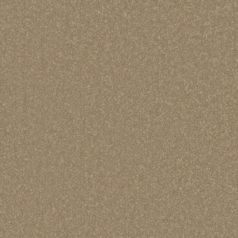 Primo Plus Chenille carpet by Cormar Carpets