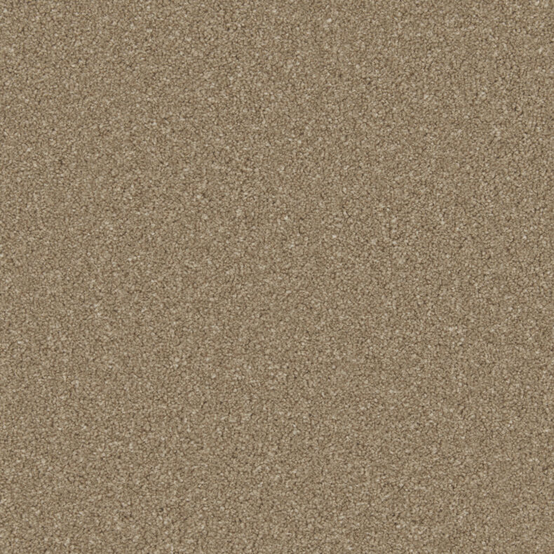 Zenith Dark Taupe carpet by Cormar Carpets