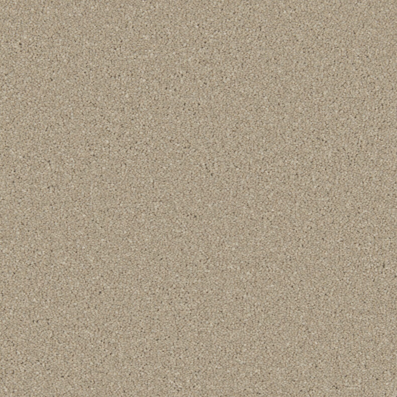 Zenith Dove Feather carpet by Cormar Carpets