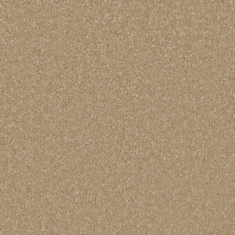 Sensation Original Gazelle carpet by Cormar Carpets