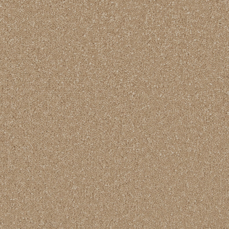Sensation Original Gazelle carpet by Cormar Carpets