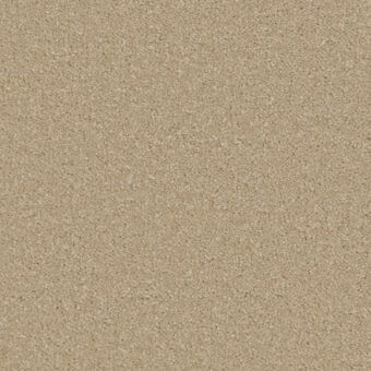 Sensation Original Laguna carpet by Cormar Carpets