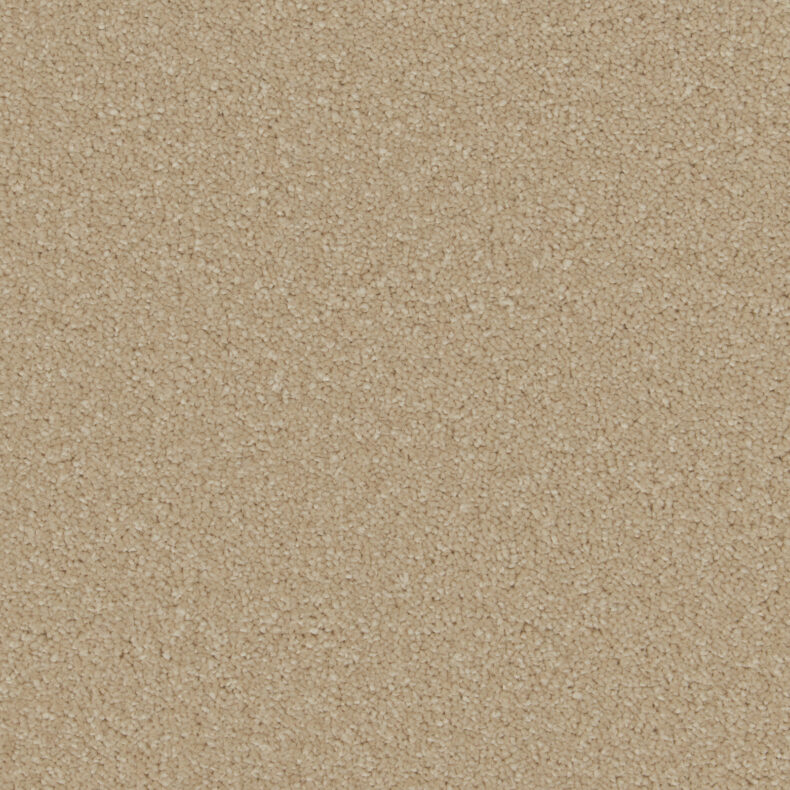 Sensation Original Laguna carpet by Cormar Carpets