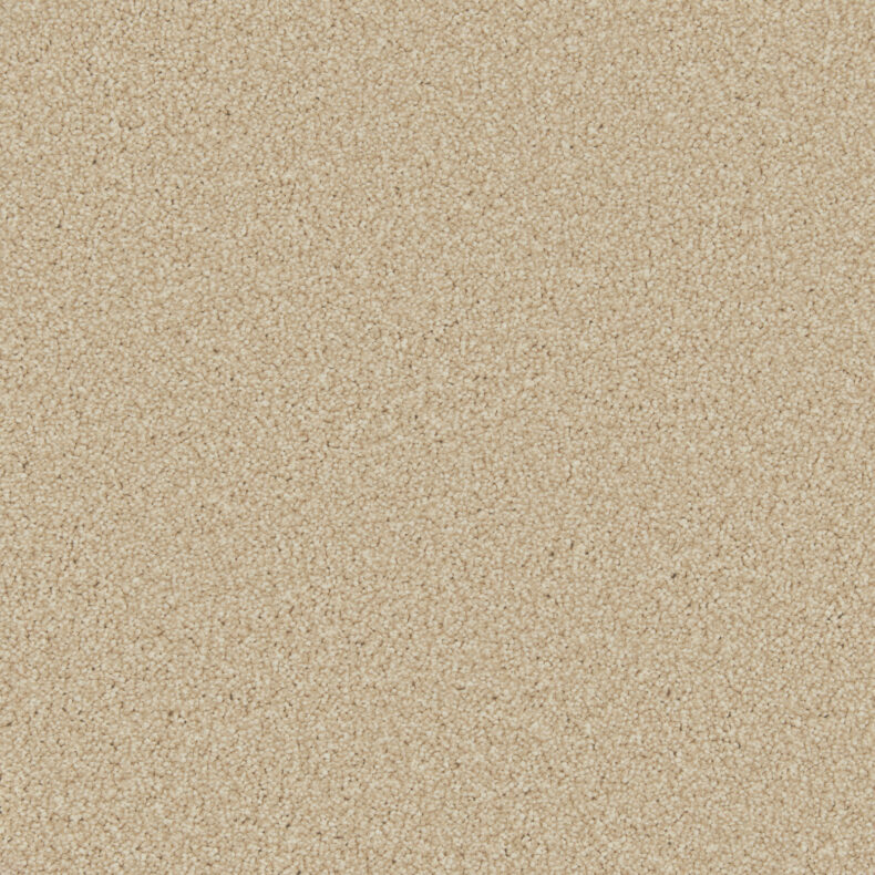 Zenith Lakeside carpet by Cormar Carpets