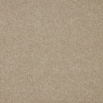 Sensation Original Latte carpet by Cormar Carpets