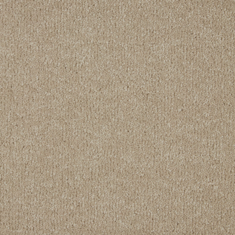 Sensation Original Latte carpet by Cormar Carpets