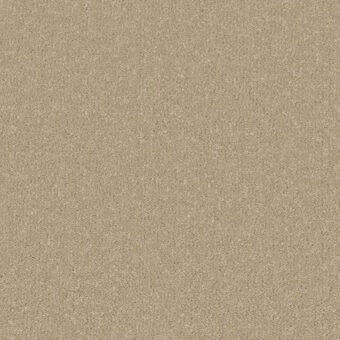 Silken Serenity Malt carpet by Cormar Carpets