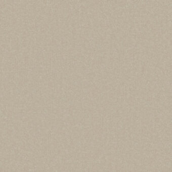 Primo Plus Manilla carpet by Cormar Carpets