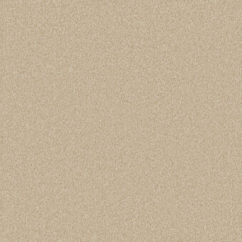 Primo Naturals Miami Beach carpet by Cormar Carpets