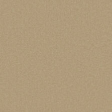 Primo Plus Muscovado carpet by Cormar Carpets