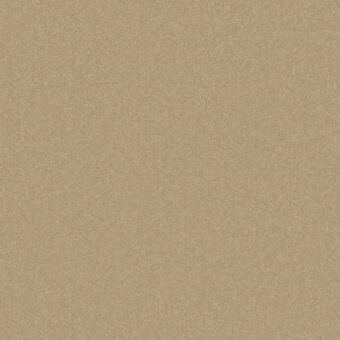 Primo Plus Muscovado carpet by Cormar Carpets