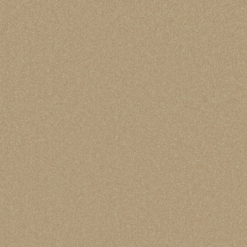Primo Plus Muscovado carpet by Cormar Carpets