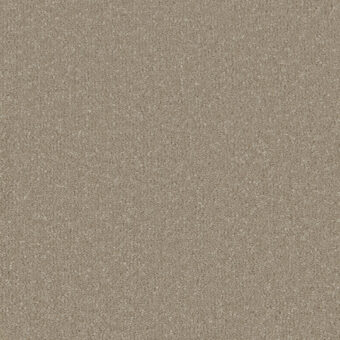 Silken Serenity Nocciola carpet by Cormar Carpets