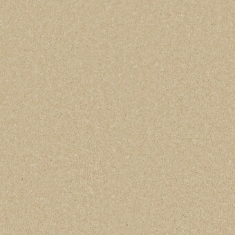 Zenith Palomino Gold carpet by Cormar Carpets