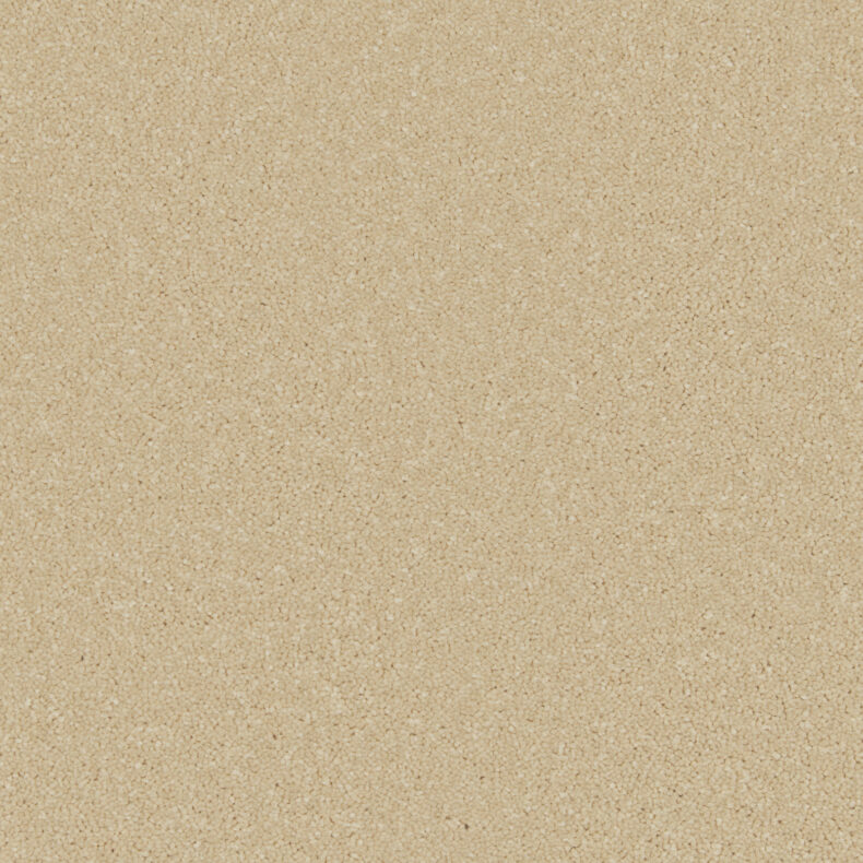 Zenith Palomino Gold carpet by Cormar Carpets
