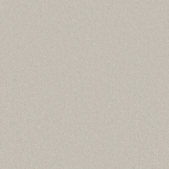Silken Serenity Polar White carpet by Cormar Carpets