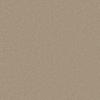 Primo Plus Resin carpet by Cormar Carpets