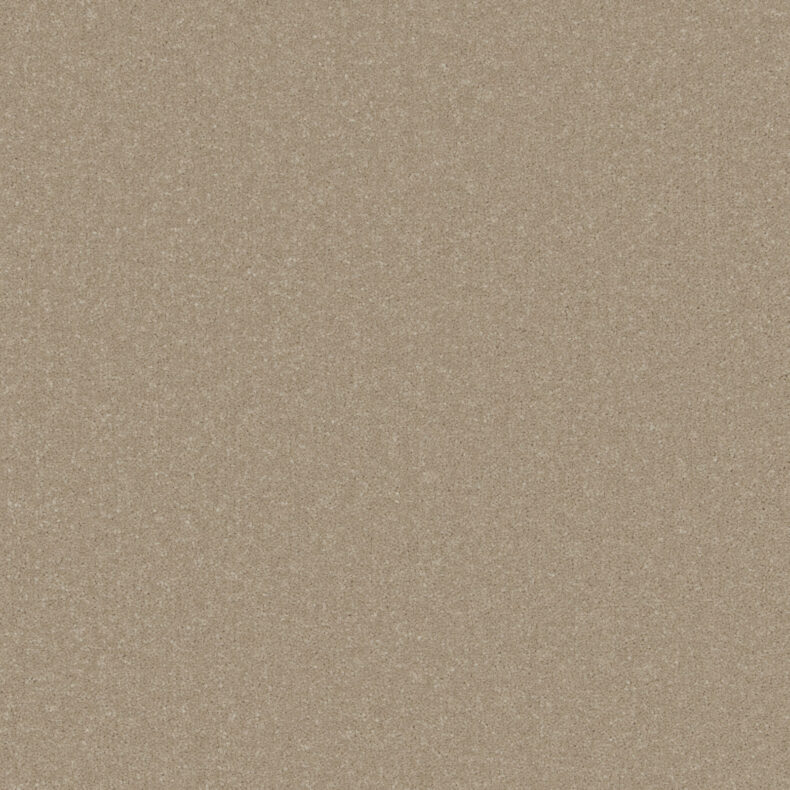 Primo Plus Resin carpet by Cormar Carpets