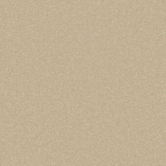 Silken Serenity Sand Dune carpet by Cormar Carpets
