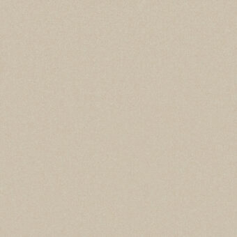 Primo Plus Snowdrift carpet by Cormar Carpets