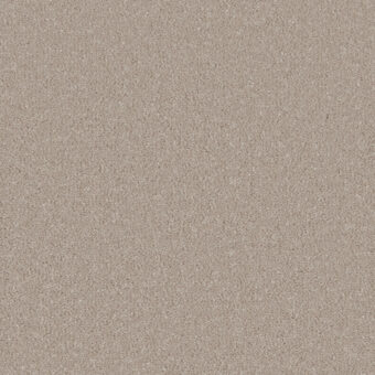 Silken Serenity Taffetta carpet by Cormar Carpets