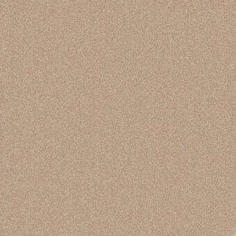 Primo Naturals Tan carpet by Cormar Carpets