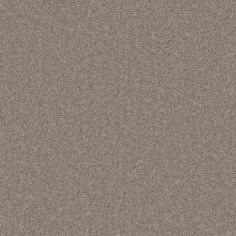 Primo Naturals Woodstock carpet by Cormar Carpets