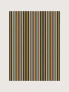 Chatham Multi rug by Roger Oates