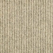 Ashdown 483 Silver Birch carpet by Riviera