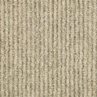 Ashdown 483 Silver Birch carpet by Riviera