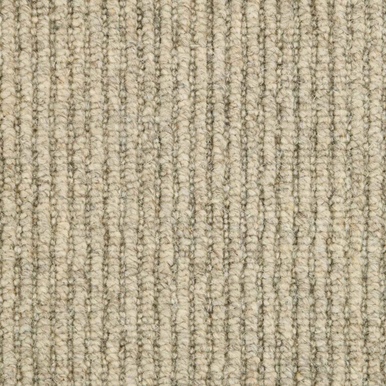 Ashdown 483 Silver Birch carpet by Riviera