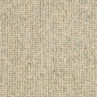 Sherwood 493 Wild Dove carpet by Riviera