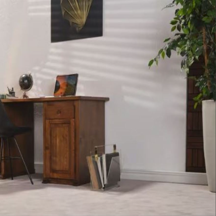 Capture_resized (1)
