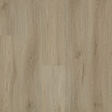 View of Fawn 5075627 (Universal 55 Planks) luxury vinyl tile by Victoria Design Floors