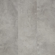 View of Fossil 5062832 (Universal 55 Tiles) luxury vinyl tile by Victoria Design Floors